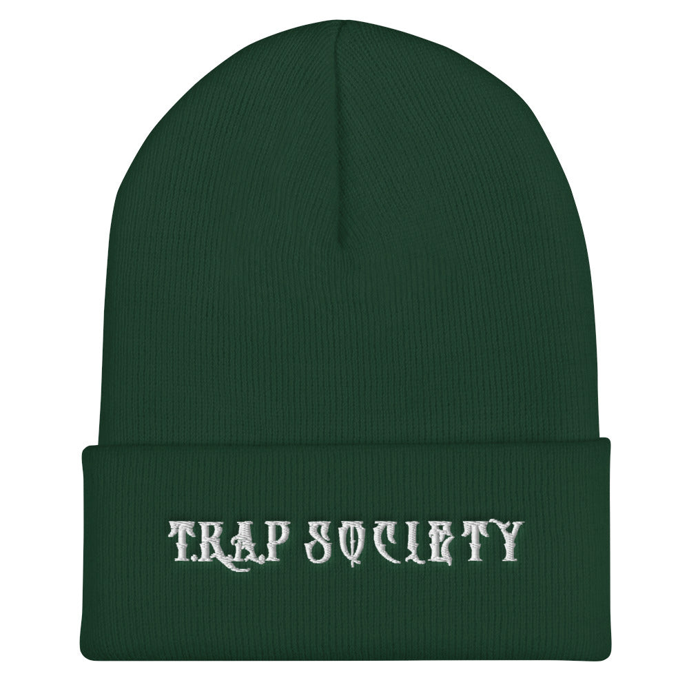 Cuffed Beanie